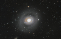 Galaxy NGC1961